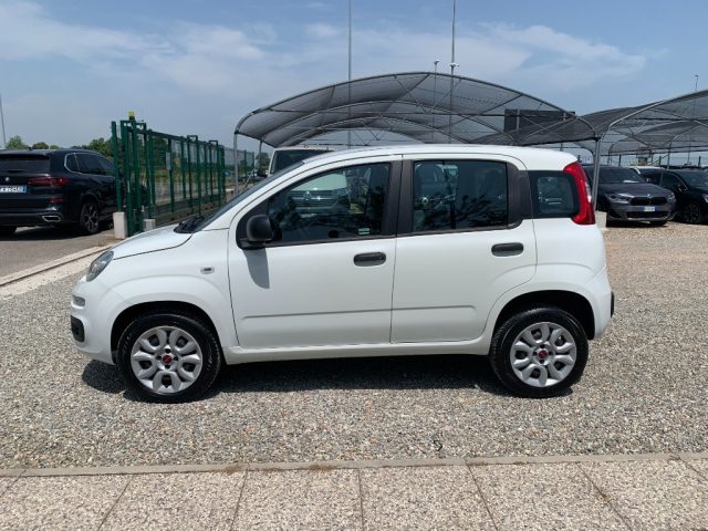 FIAT Panda usata, con Controllo trazione