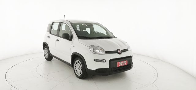 FIAT Panda usata 24