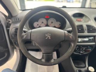PEUGEOT 206 usata 18