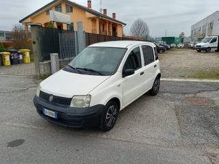 FIAT Panda usata 7