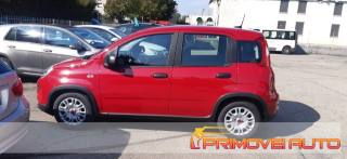 FIAT Panda usata, con Chiusura centralizzata