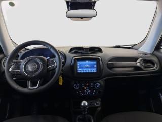 JEEP Renegade usata 10