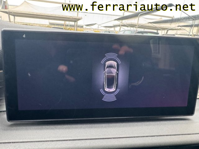 ALFA ROMEO Tonale usata, con Filtro antiparticolato