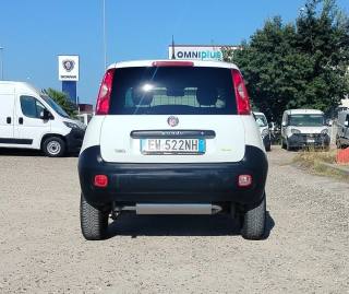 FIAT Panda usata 6