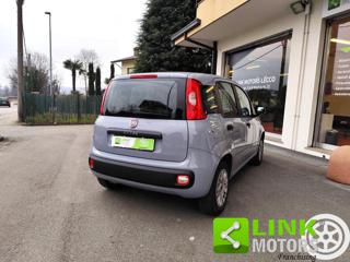 FIAT Panda usata, con Fendinebbia