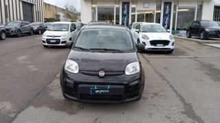 FIAT Panda usata, con Airbag