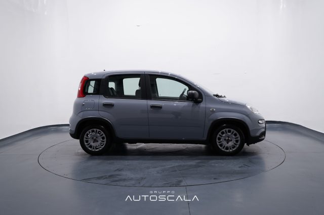 FIAT New Panda usata, con Isofix