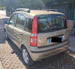 FIAT Panda usata 3
