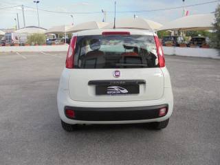 FIAT Panda usata, con Airbag testa