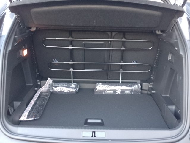 PEUGEOT 3008 usata, con ESP