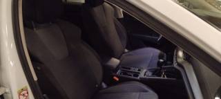 SKODA Octavia usata, con Fendinebbia