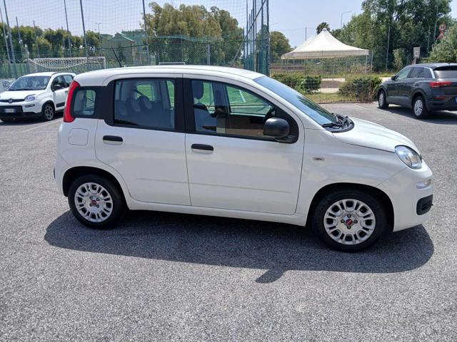 FIAT Panda usata 12
