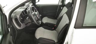 FIAT Panda usata, con Servosterzo