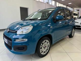 FIAT Panda usata 28