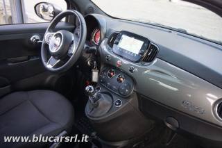 FIAT 500 usata, con Climatizzatore