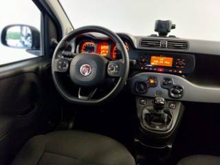 FIAT Panda usata, con Climatizzatore