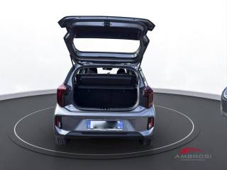 KIA Picanto usata 8