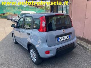 FIAT Panda usata, con Alzacristalli elettrici