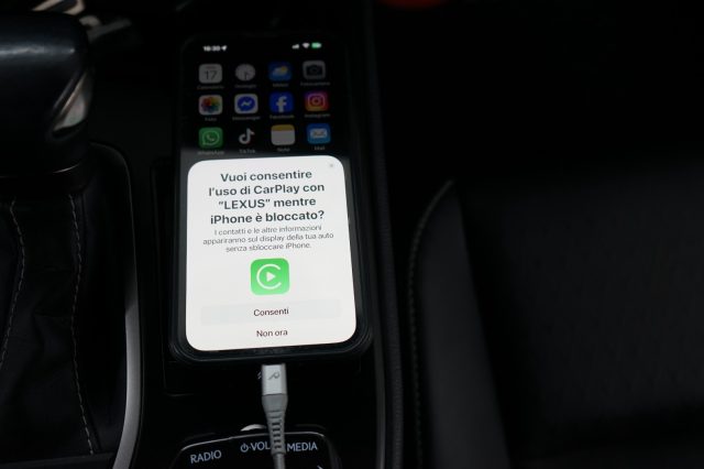 LEXUS UX 250h usata 43