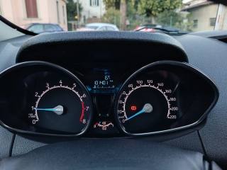 FORD EcoSport usata, con Fendinebbia