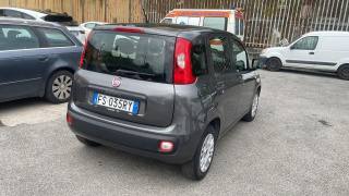 FIAT Panda usata, con Chiusura centralizzata