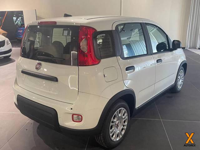 FIAT Panda usata, con Chiusura centralizzata