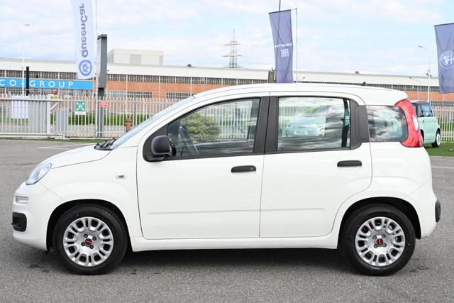 FIAT Panda usata, con Climatizzatore