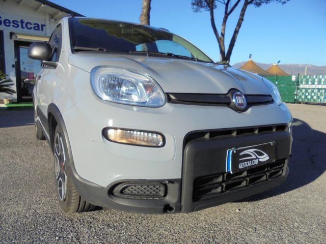 FIAT Panda usata 19