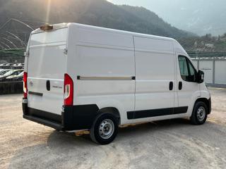 FIAT Ducato usata, con Airbag Passeggero