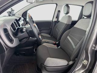 FIAT Panda usata 9