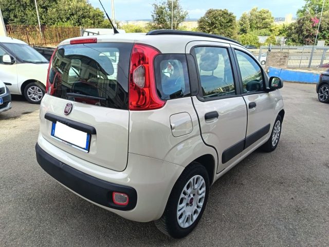 FIAT Panda usata 6