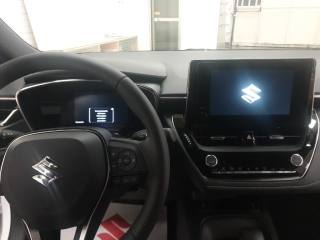 SUZUKI Swace usata, con Fendinebbia