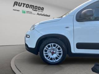 FIAT Panda usata 18