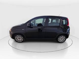 FIAT Panda usata, con Autoradio
