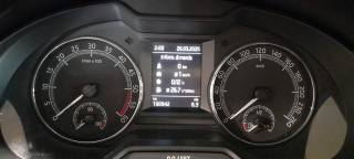 SKODA Octavia usata, con ESP