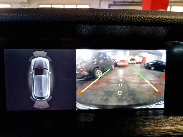 ALFA ROMEO Stelvio usata, con Controllo automatico clima