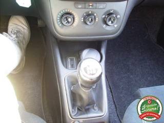 FIAT Punto usata, con Volante multifunzione