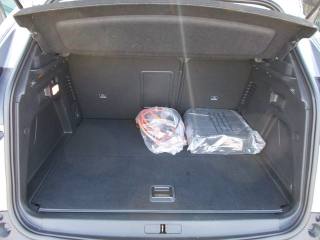 PEUGEOT 3008 usata, con Park Distance Control