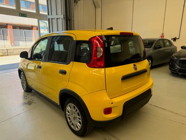 FIAT Pandina usata, con Antifurto