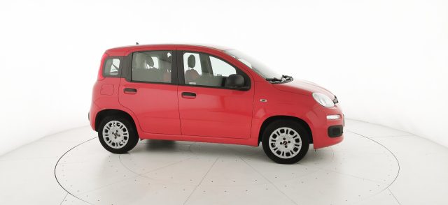 FIAT Panda usata, con Fendinebbia
