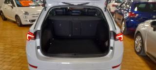 SKODA Octavia usata, con Fendinebbia