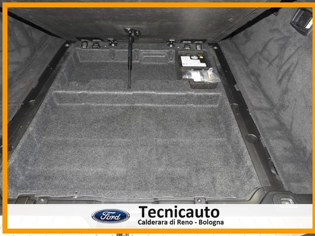 BMW 520 usata, con Fendinebbia