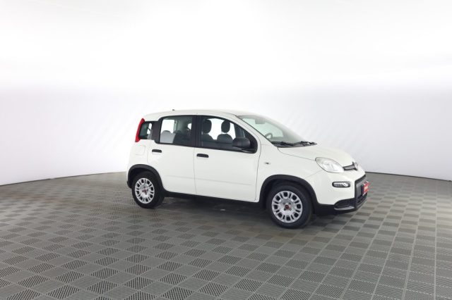 FIAT Panda usata 1