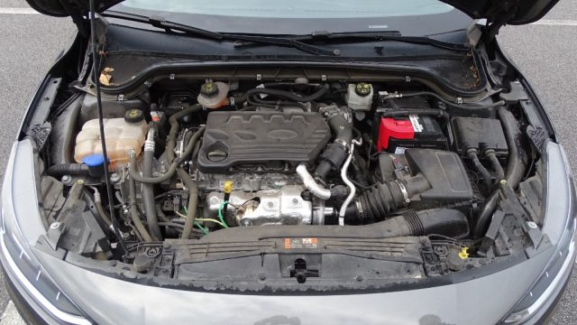 FORD Focus usata 124