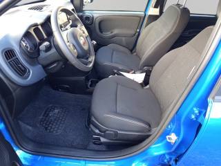 FIAT Panda Cross usata, con Specchietti laterali elettrici