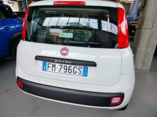 FIAT Panda usata, con Controllo trazione