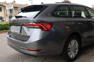 SKODA Octavia usata 129
