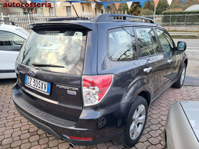 SUBARU Forester usata 7