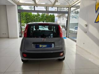 FIAT Panda usata, con Chiusura centralizzata