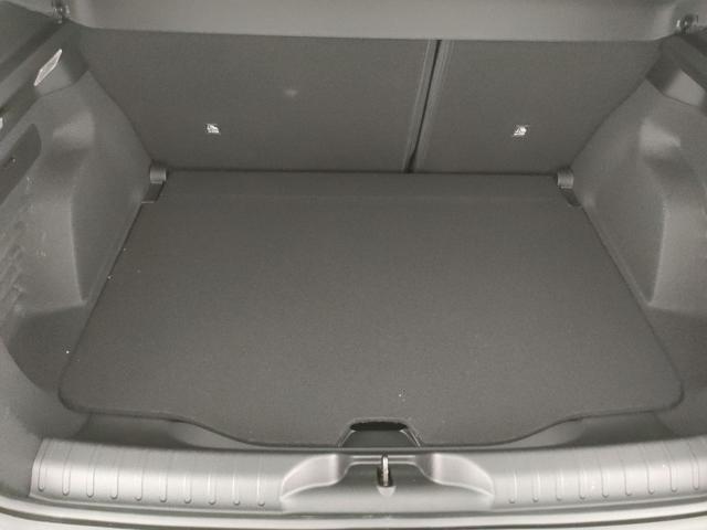 FIAT 600 usata, con USB